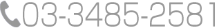 TEL:03-3485-2581